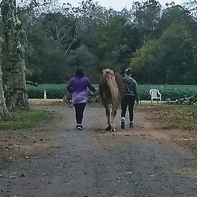 Timeline: Lana's Life