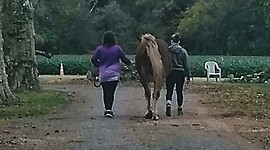 Timeline: Lana's Life