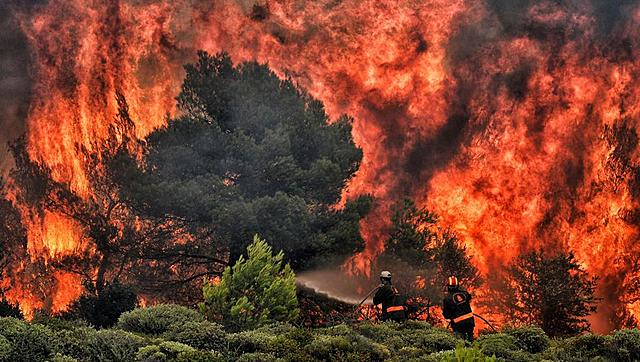 Incendios en la Sierra de Gata