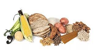 Féculas y Almidones