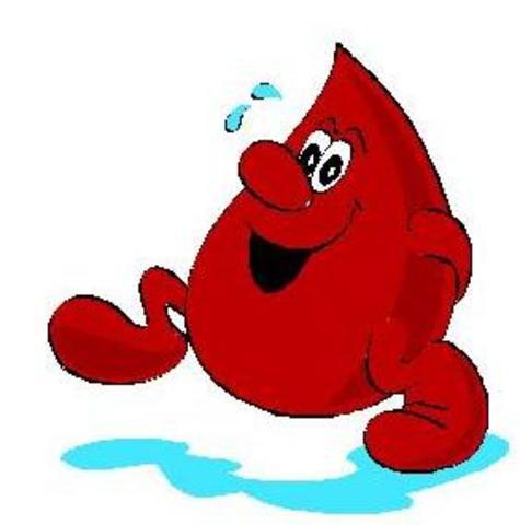 A CIRCULAÇÃO SANGUÍNEA