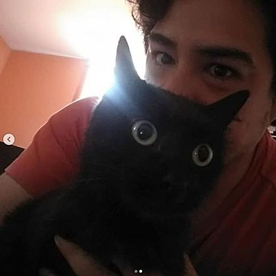 Timeline: Mi línea de tiempo