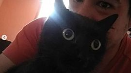 Timeline: Mi línea de tiempo