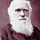 Charles darwin