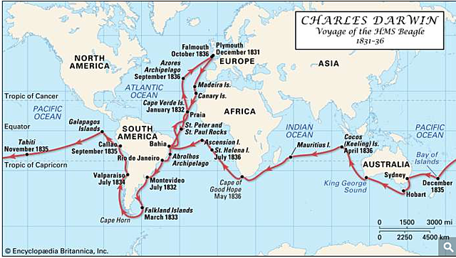 Voyage on HMS Beagle