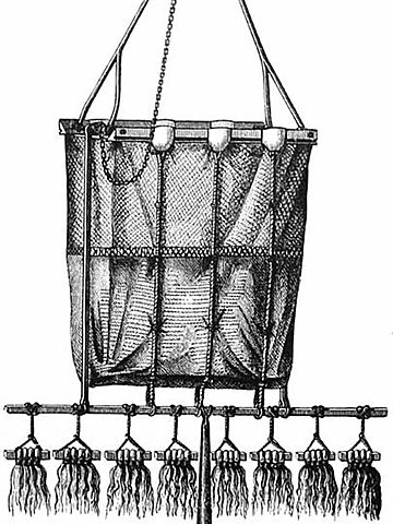 Life in the Deep Sea﻿