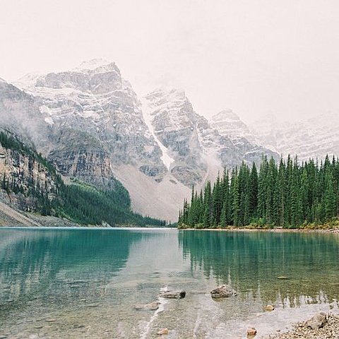 Переход на позиции патриархального крестьянства.