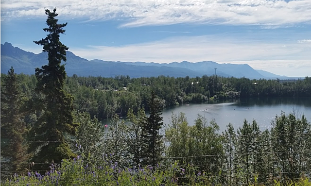 Dismemberment & disposal of Koenig's remains