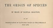 El Origen de las Especies (Charles Darwin)