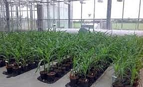 Création du centre de recherche à Chappes