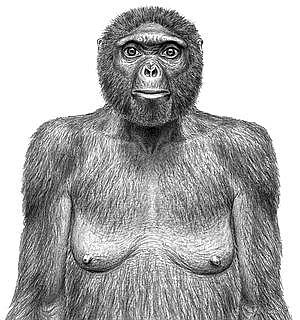 Ardipithecus