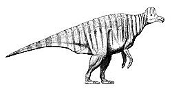 Coritosaure
