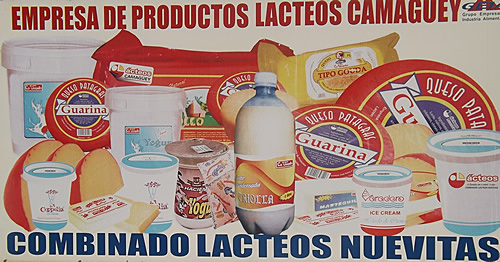 Producción queso azul