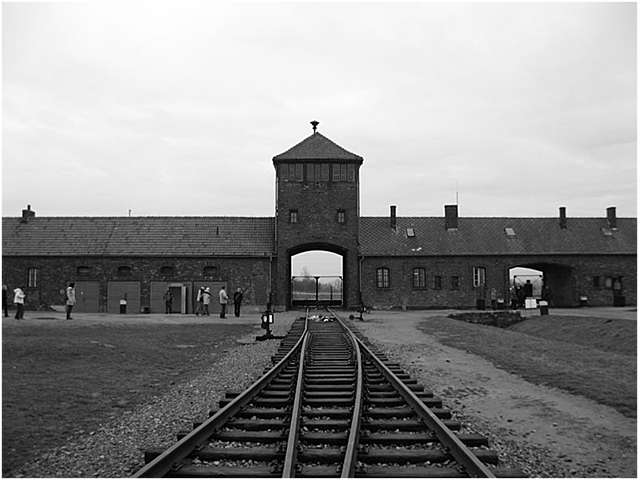 Zadnji vlak na Poljsko