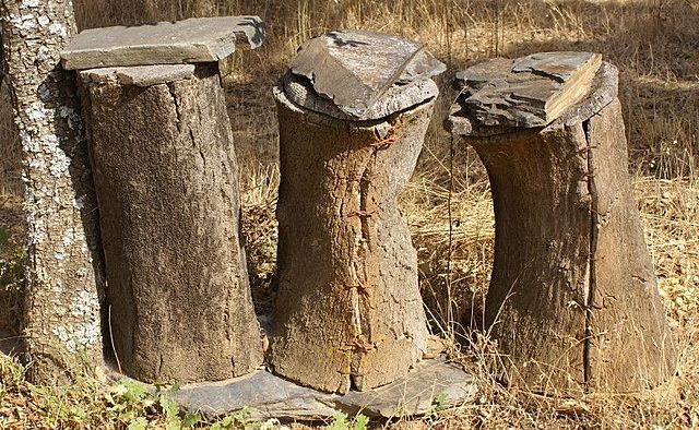 Las abejas se agrupan en colmenas fijistas