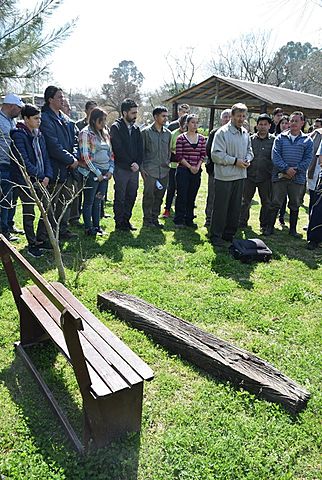 Quebracho fundacional de la futura parroquia de Misioneros de Francisco