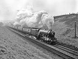 Rail, switches ( railway)