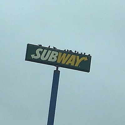 Timeline: Industrial Revolution