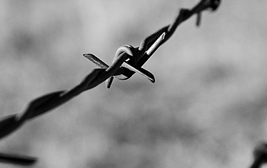 barbed wire