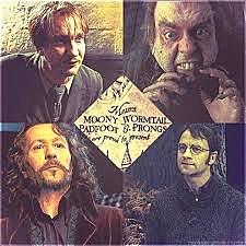 Moony, Wormtail, Padfoot, and Prongs