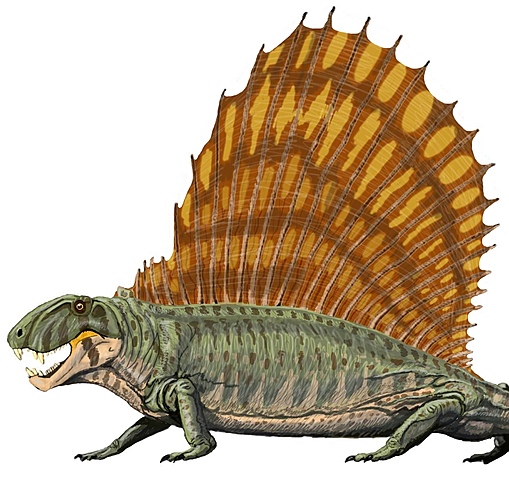 Pelicosaurio