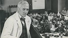 Timeline: Alexander Fleming