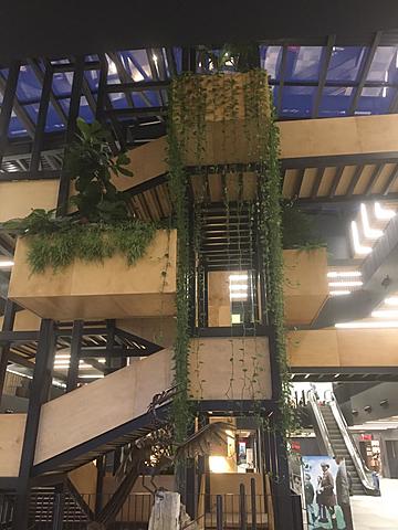 Herkes için Kütüphane Projesi'ne Tam Üyelik