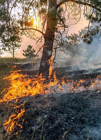 Descubrimiento del fuego