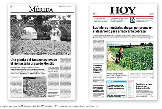 Primeras imágenes sobre el camalote