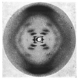 Rosalind Franklin i Maurice Wilkins