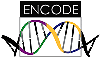 ENCODE