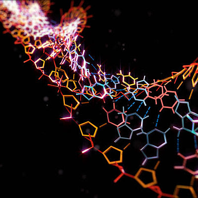 Timeline: Timeline ADN