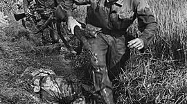 Timeline: Korean War (1950- 1953)