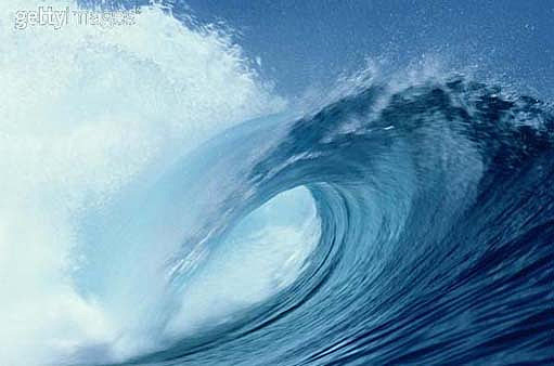 Què es vol fer al futur?