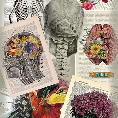 Timeline: Historia de la medicina