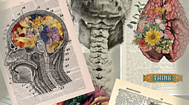 Timeline: Historia de la medicina