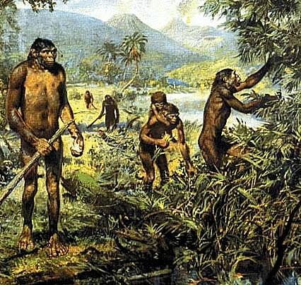 Inicio de la farmacopea