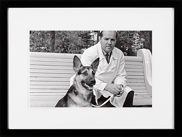 Искусственное сердце