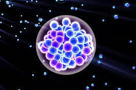 Síntesis de transuránico