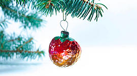 Timeline: Mi principio del Año Nuevo 2020