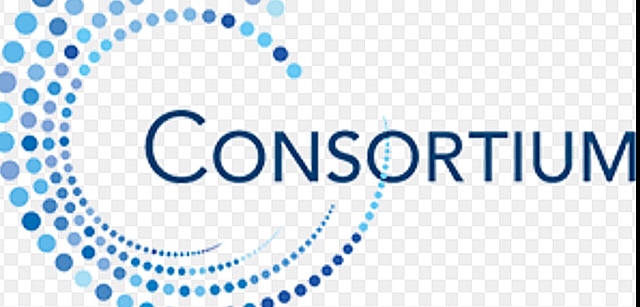 El Hierro Consortium