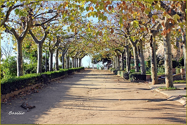 Parque de Santa Lucía