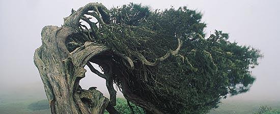 El Hierro Becomes a Biosphere Reserve