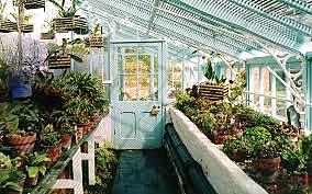 Atracción por la historia natural