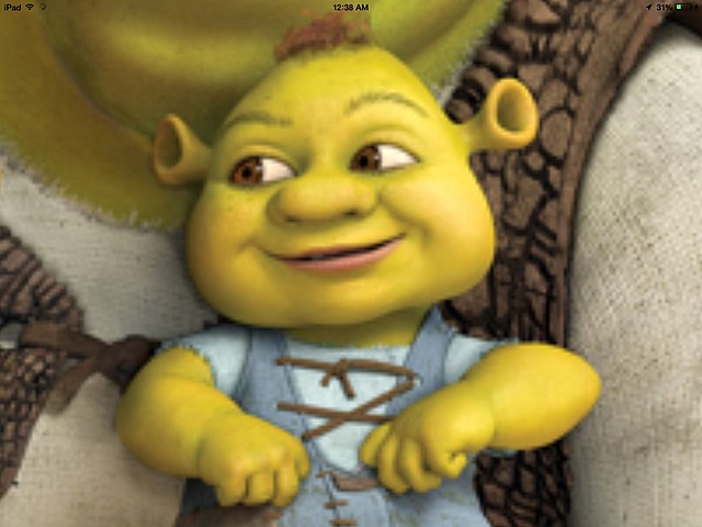 Poop Face and Amir Anon was born