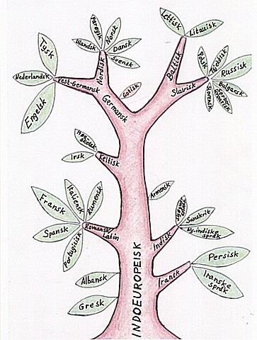 Indoeuropeiske språk og Europa