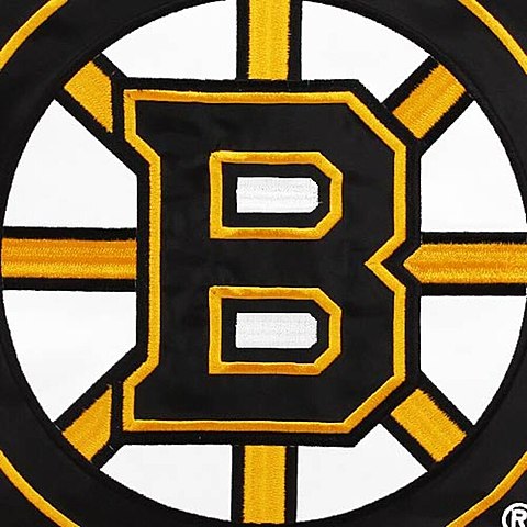 Les bruins de boston on gagner la coupe Stanley