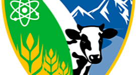 Timeline: PLANIFICACIÓN ABP 2020