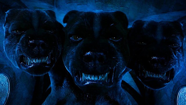 The Sorcerer's Stone