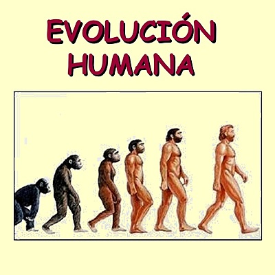 Timeline: Evolución humana
